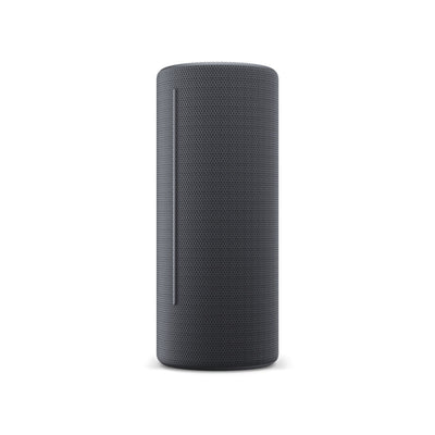 Altavoz Bluetooth Loewe Gris