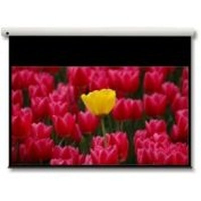 Projection Screen Optoma Panoview 16:9 106