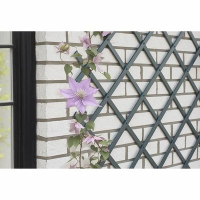 Garden Fence Nature NATURE Anthracite Plastic