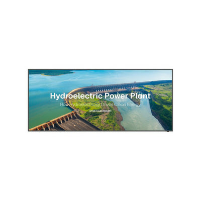 TV intelligente LG 105BM5P-B